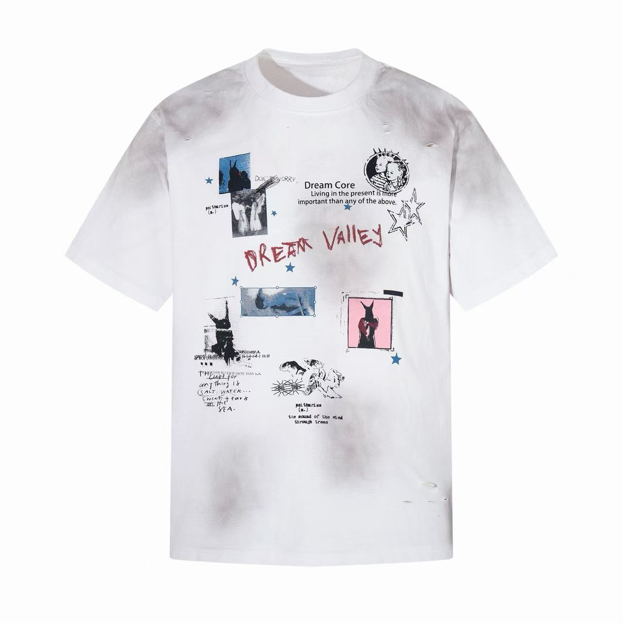 Omirad Dream Valley Distressed Tee